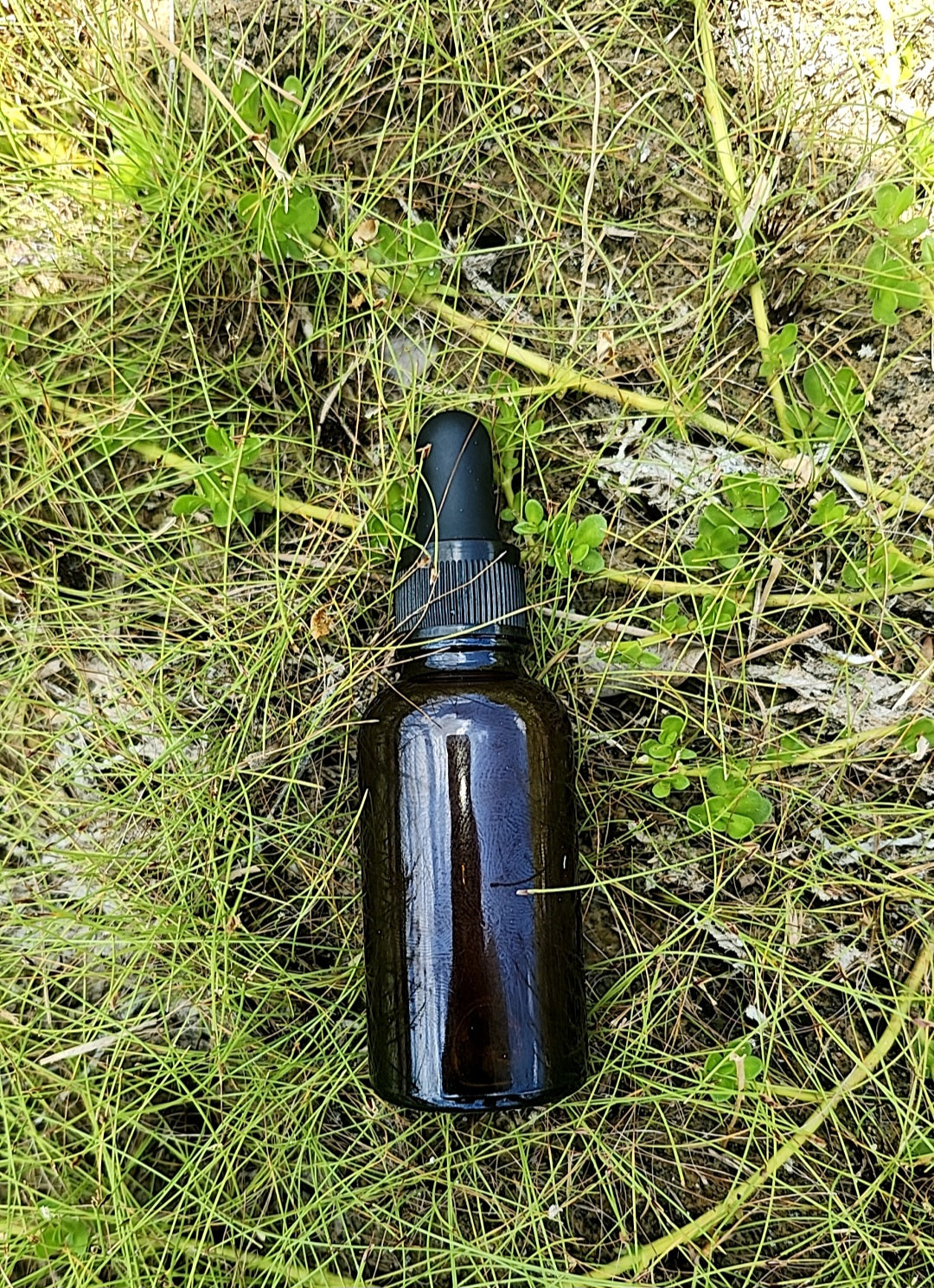 Naptural'y "Pure Moringa Tincture "